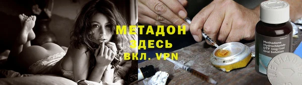 сатива Бородино