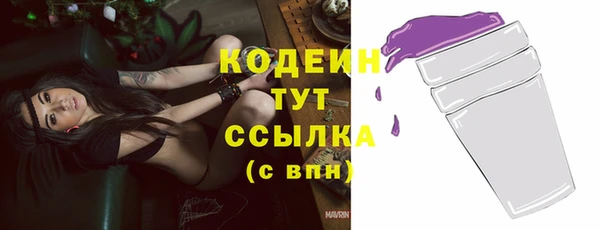 сатива Бородино