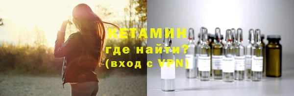 сатива Бородино