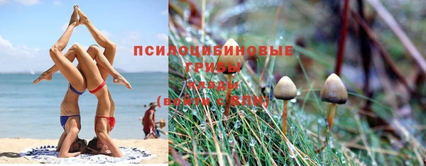 крисы Богданович